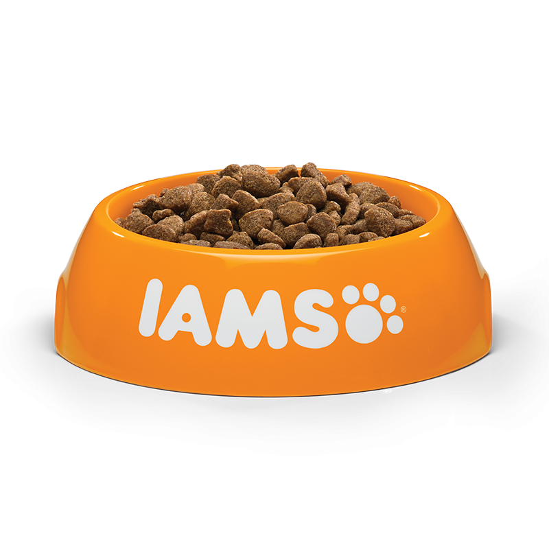 IAMS Adult Cat (vištiena) 10kg