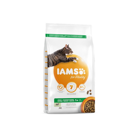 IAMS Adult Cat (ėriena) 10kg