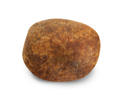 Labrador & Golden Retriever 11,5 kg