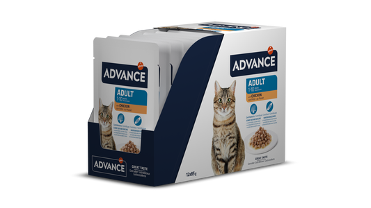AC Wet Adult Chicken 85G*12vnt