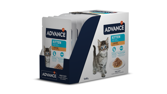 AC Wet Kitten Chicken 85G*12vnt