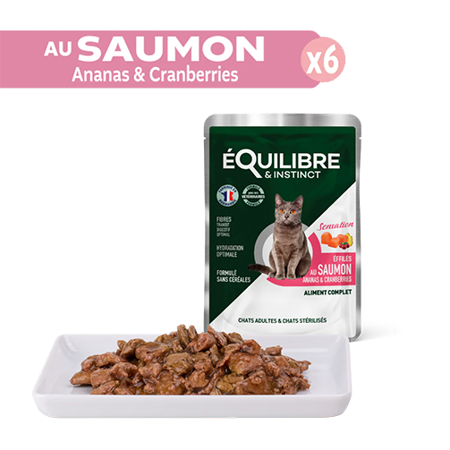 Equilibre Multipack Ster 24x85g