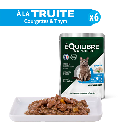 Equilibre Multipack Ster 24x85g