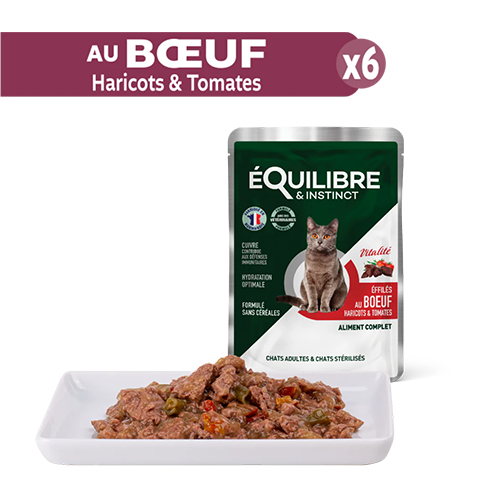 Equilibre Multipack Ster 24x85g