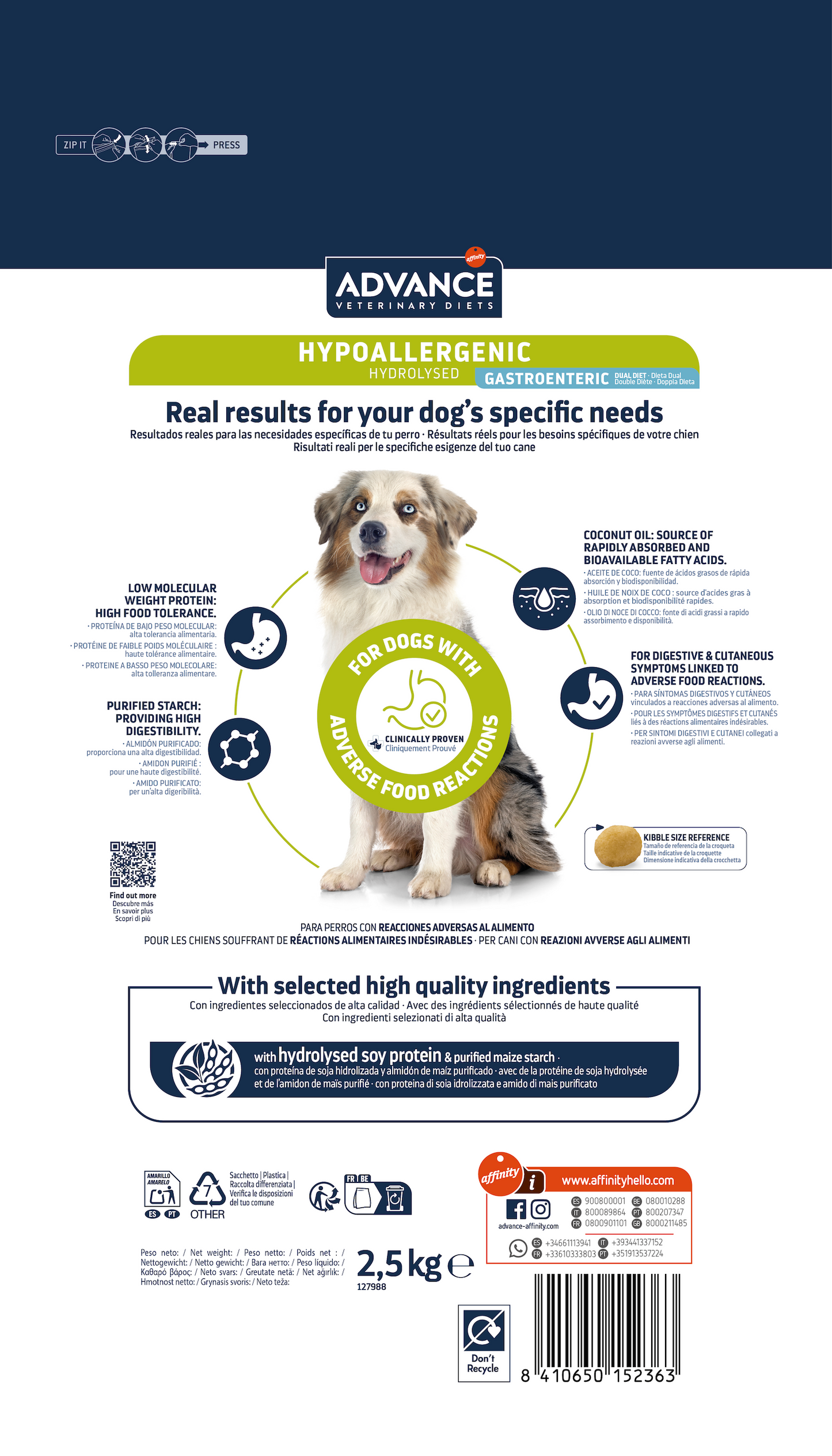 Hypoallergenic dog 10 kg