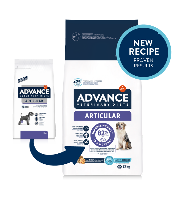 Articular Dog 12 kg