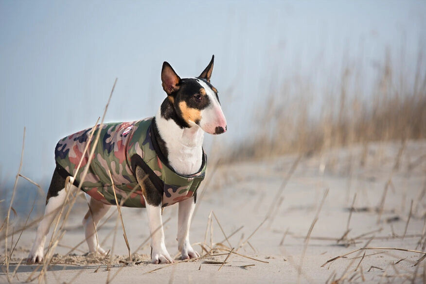 Striukė šunims Amiplay Bronx Camo