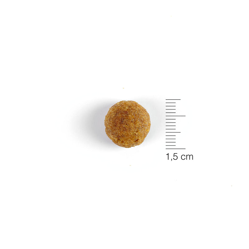 Solidary 26 sausas maistas šunims 15 kg