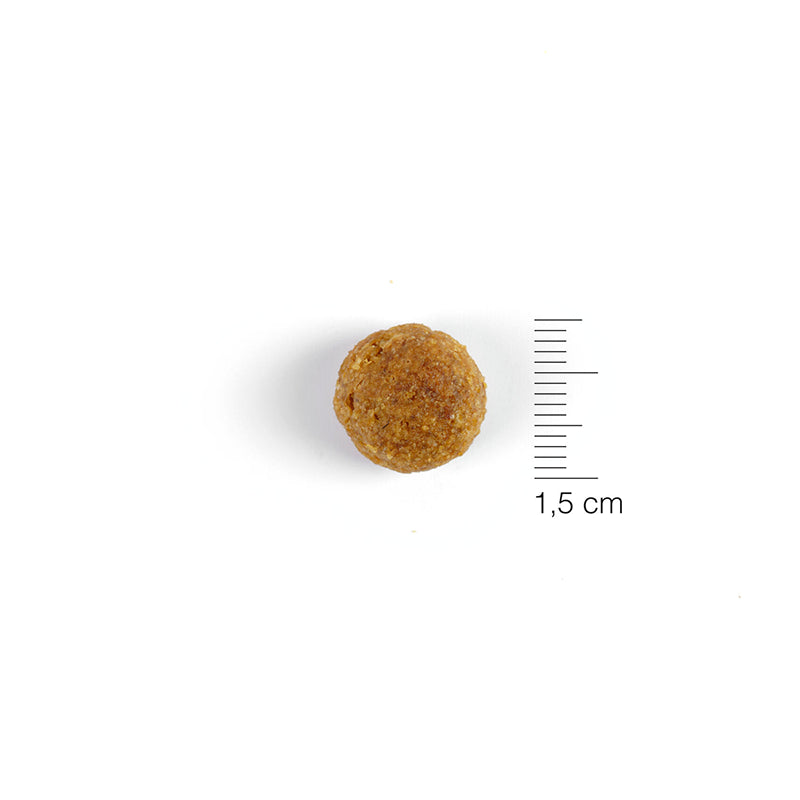 Solidary 22 sausas maistas šunims 15 kg