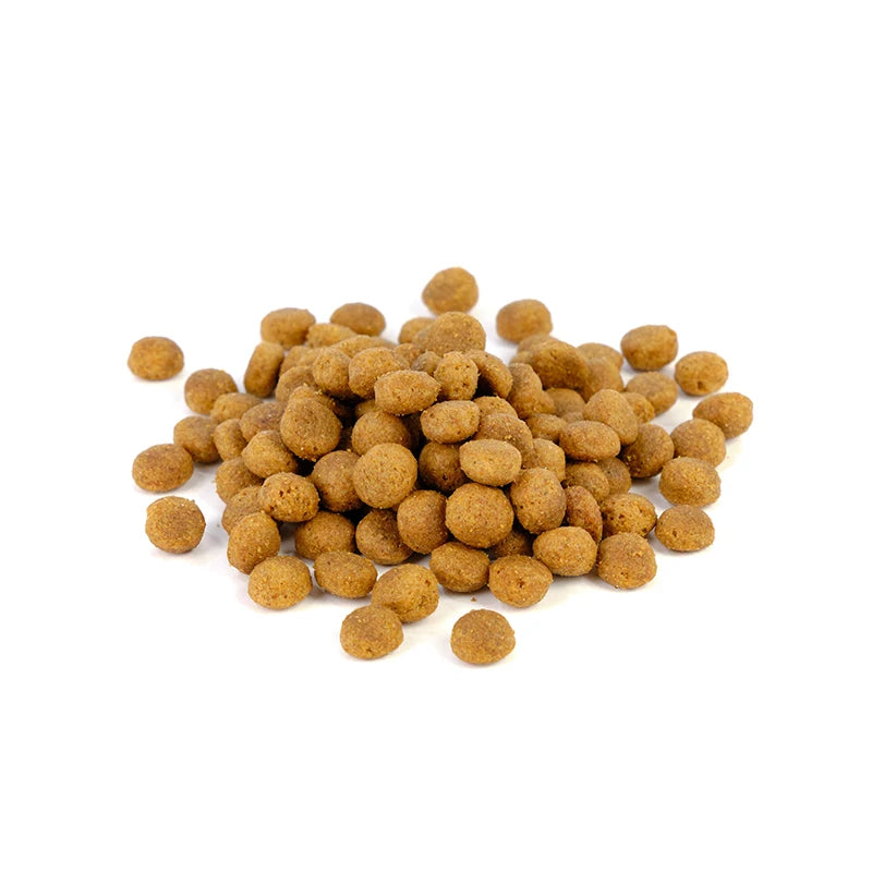 Solidary 26 sausas maistas šunims 15 kg