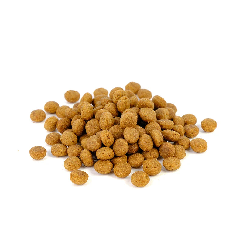 Solidary 22 sausas maistas šunims 15 kg