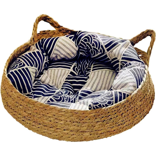 Guolis draskykle katėms