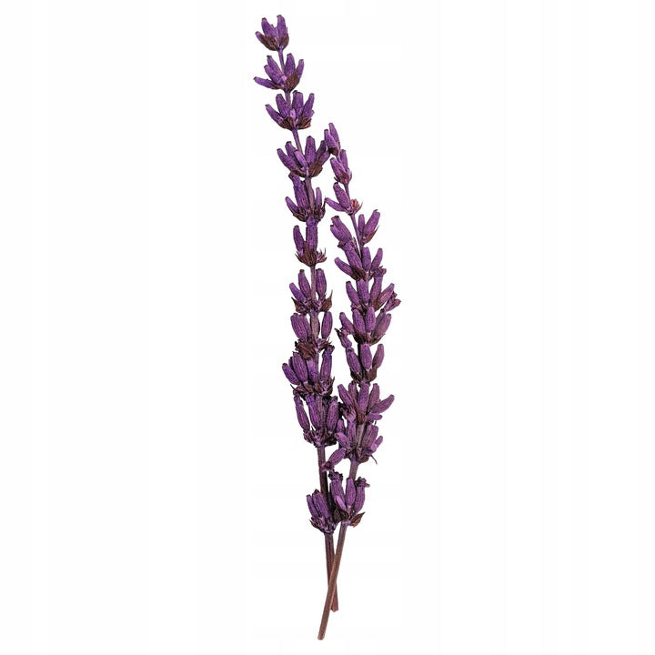 Calitti CRYSTALS Lavender silikoninis kraikas 3,8L