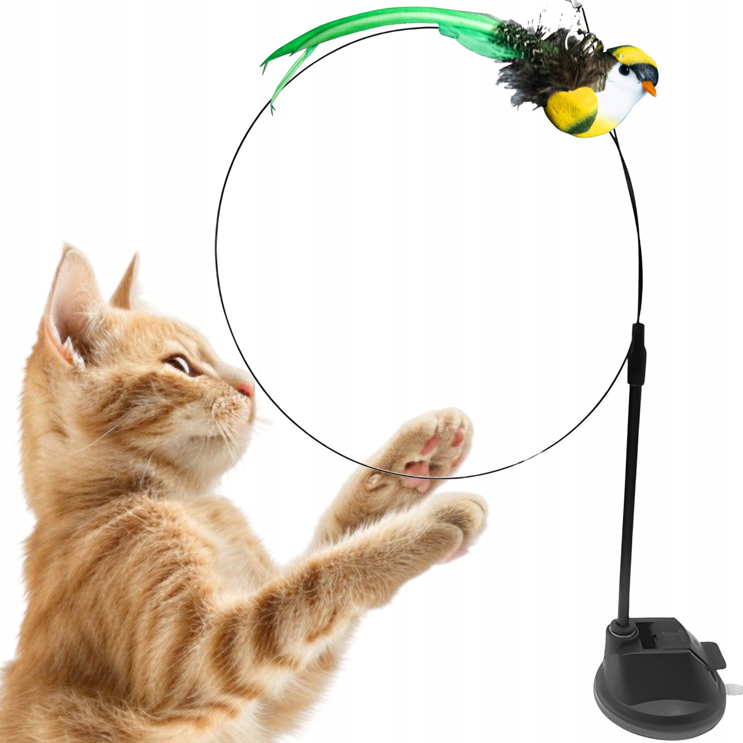 Interaktyvus žaislas katėms su siurbtuku