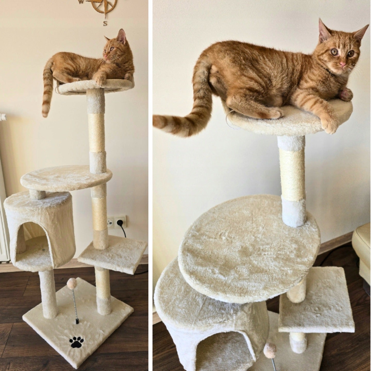 Kačių draskyklė "TomiDomi" smėlio spalvos 116 cm