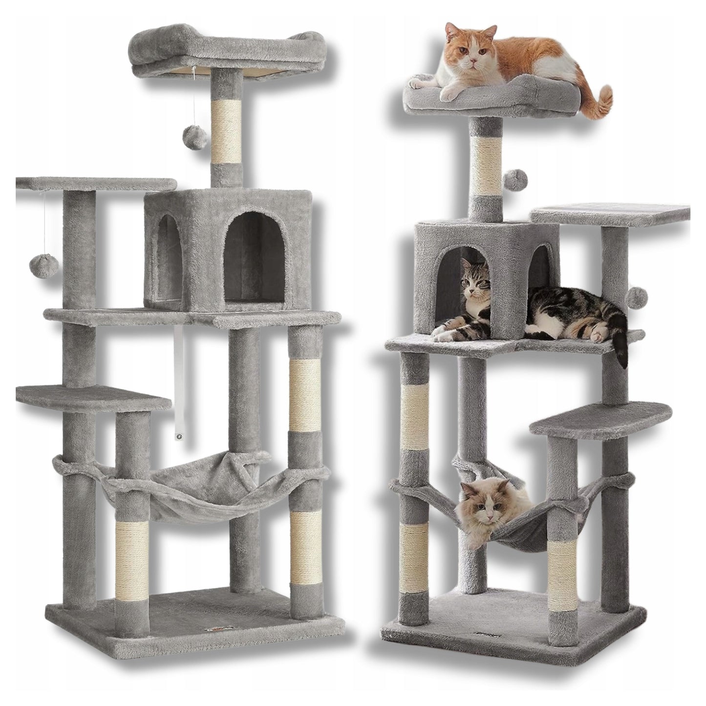 Kačių draskyklė "Feandrea"