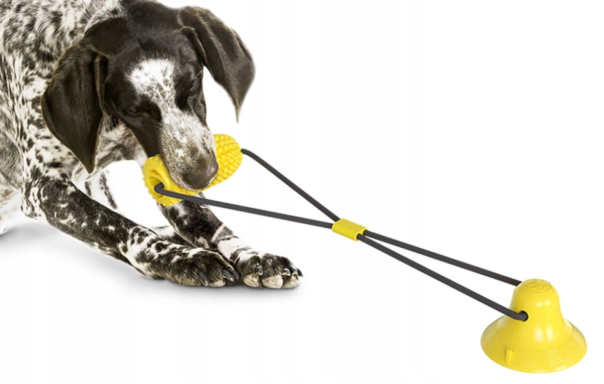 Interaktyvus žaislas "Corn"