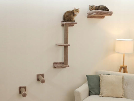 KERBL Monte Alpi Cat komplektas laiptai ant sienos