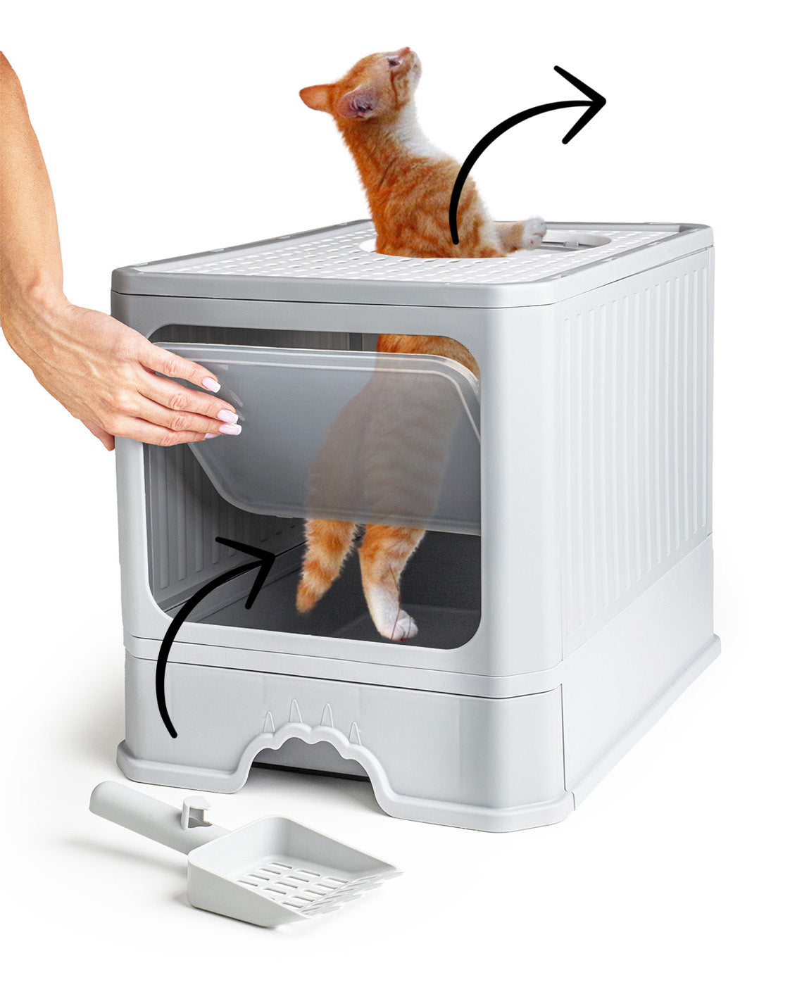 Kraiko dėžė "BeActive"