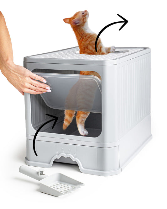 Kraiko dėžė "BeActive"