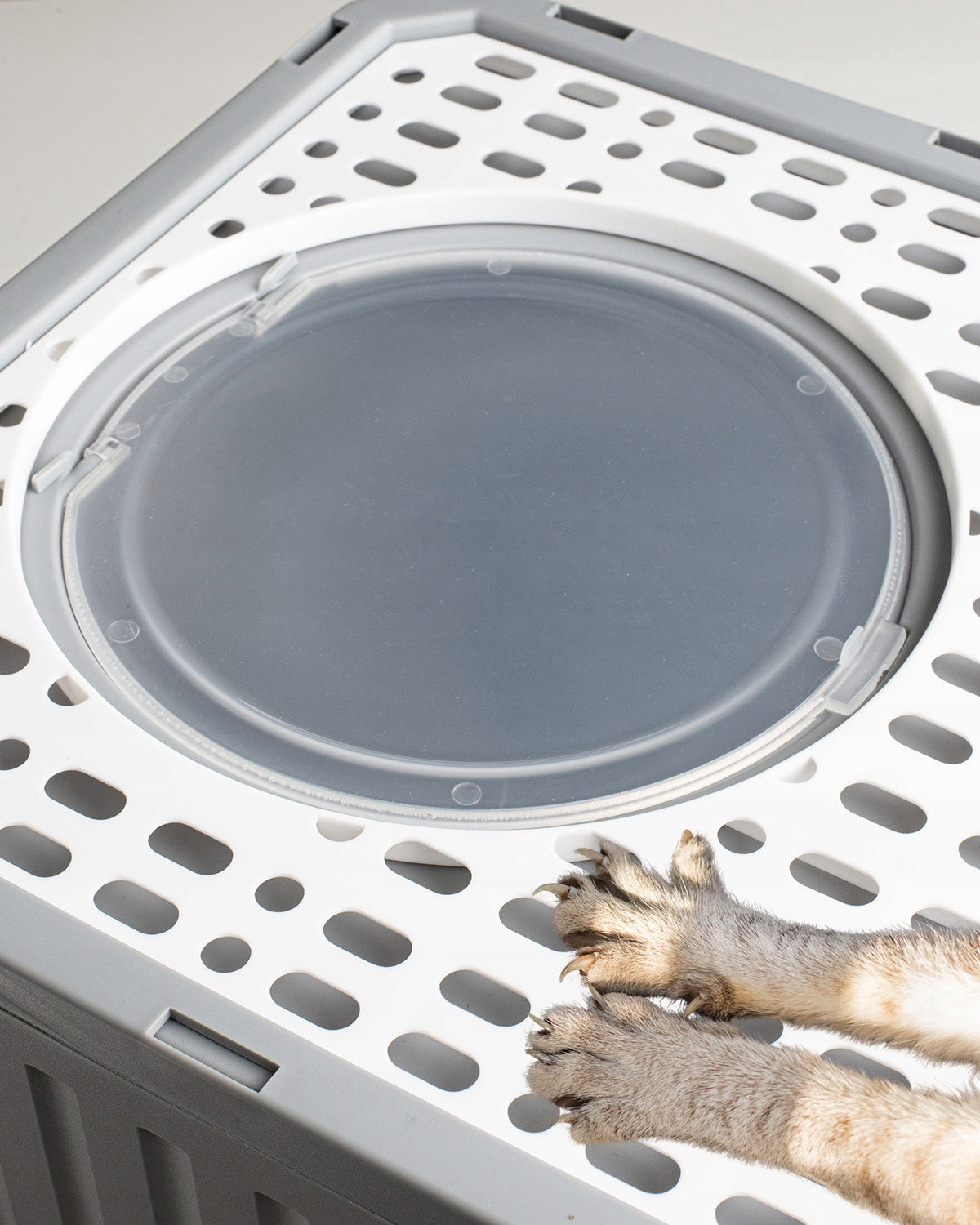 Kraiko dėžė "BeActive"