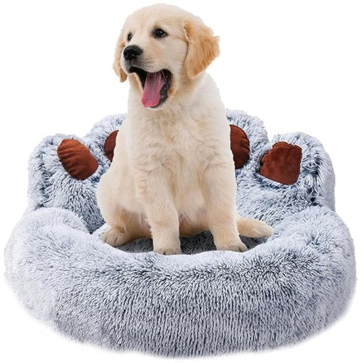 Guolis "Paw"
