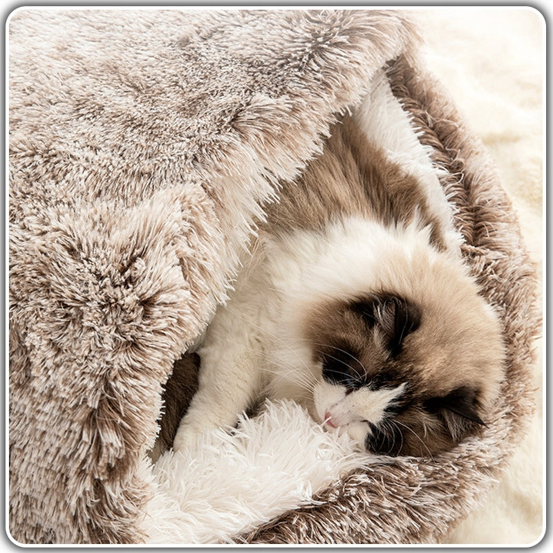 Guolis katėms "Seegaa"