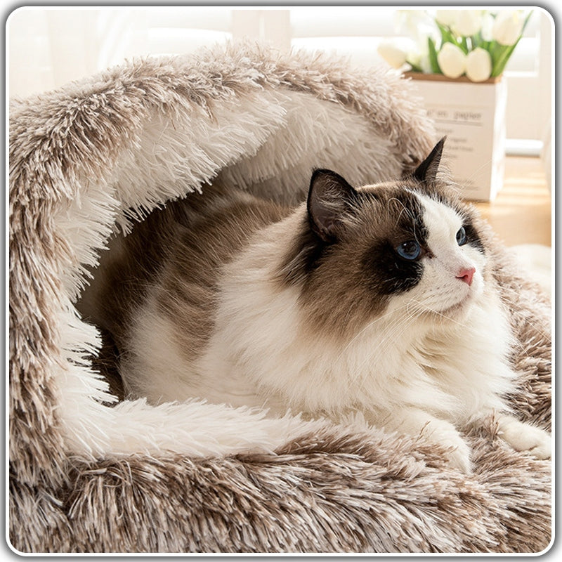 Guolis katėms "Seegaa"