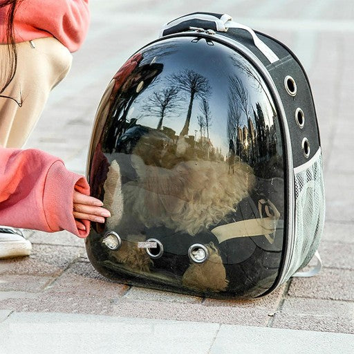 Katės transportavimo kuprinė "Nelastyl"