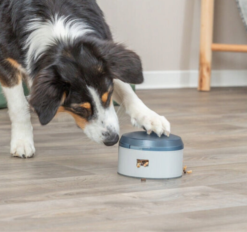 TRIXIE Activity šunų žaislas interaktyvus mygtukas skanėstams