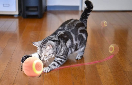 Interaktyvus kamuoliukas