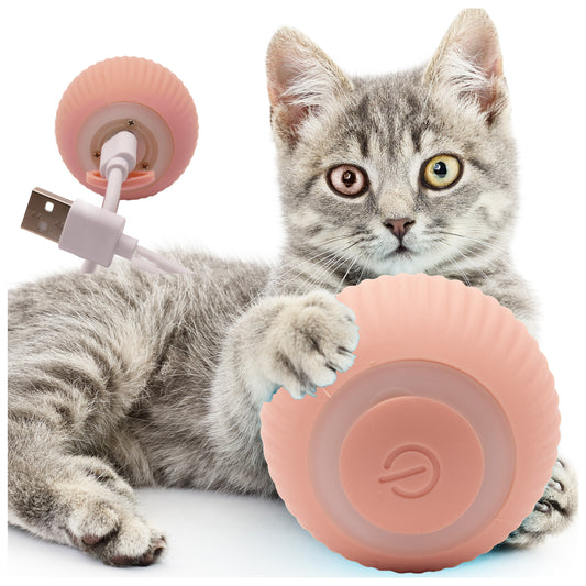 Interaktyvus kamuoliukas