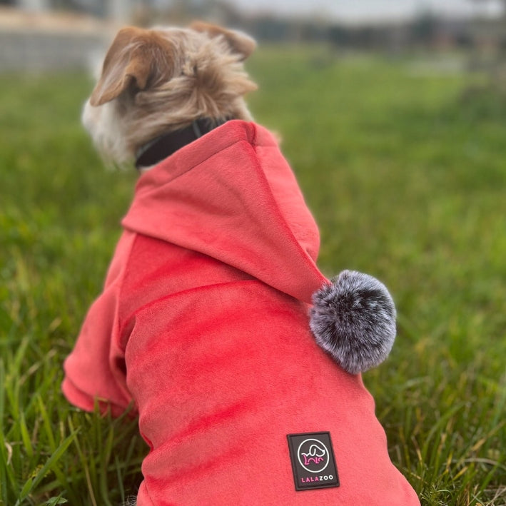 Šiltas veliūrinis megztinis šuniu