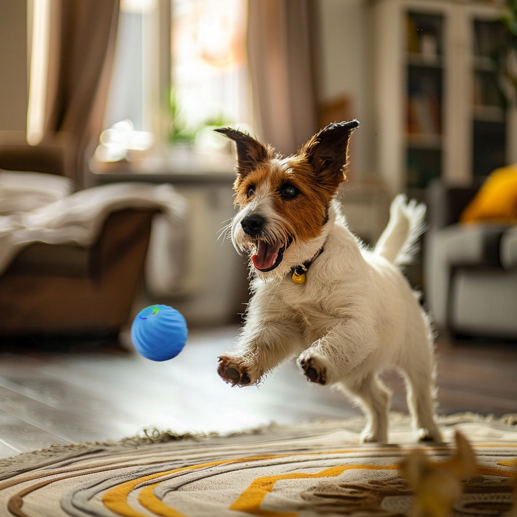 Interaktyvus kamuoliukas šunims