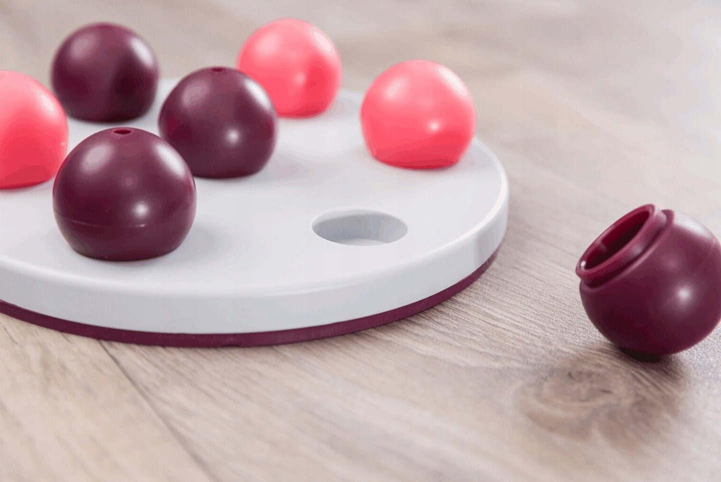 Strateginis žaidimas katėms Trixie