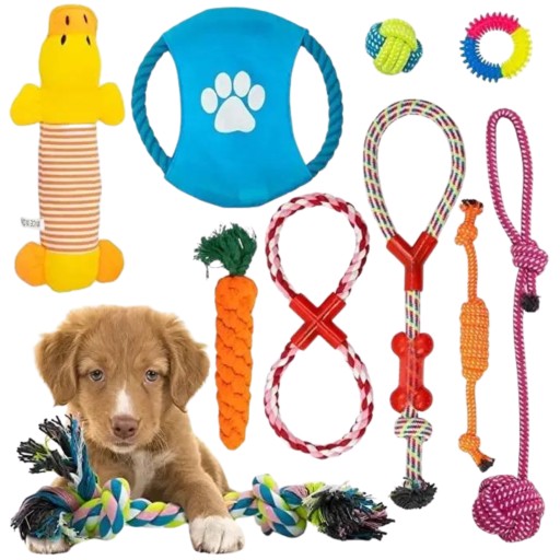 Žaislų rinkinys šunims "10 in 1"