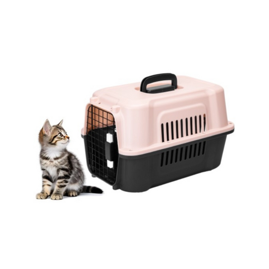 Transportavimo dėžė "Solid"