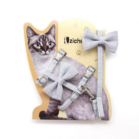 Petnešos su pavadėliu katėms