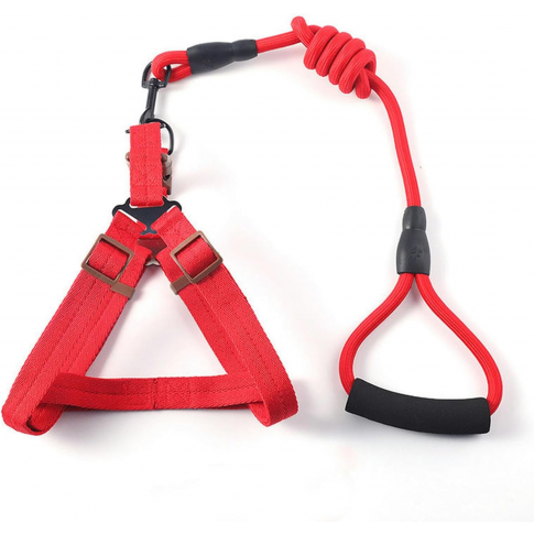 Petnešos su pavadėliu putplasčio rankena