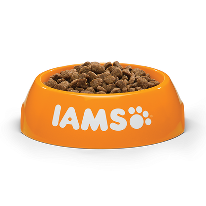 IAMS Adult Cat (vištiena) 10kg