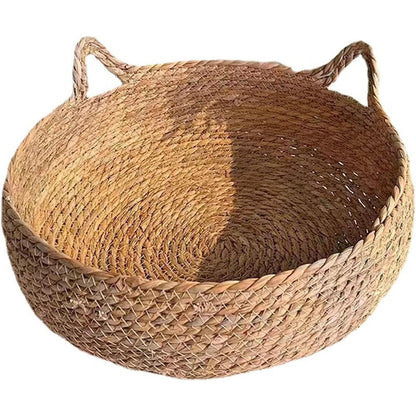 Guolis draskykle katėms