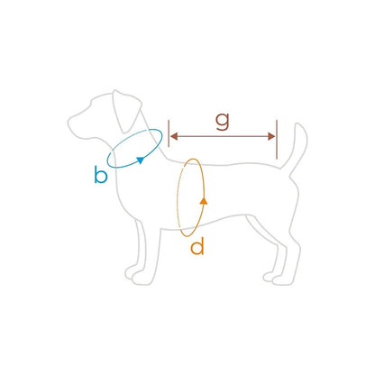 Drabužis šunims Amiplay Blouse Denver