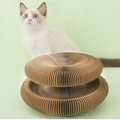 Kačių žaislas draskyklė su katžole + Dovana