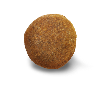 German Shepherd 12 kg