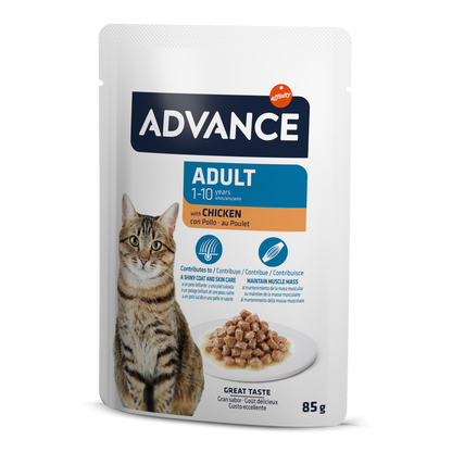 AC Wet Adult Chicken 85G*12vnt