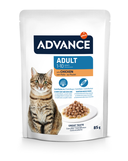 AC Wet Adult Chicken 85G*12vnt