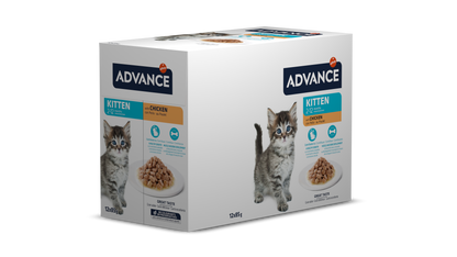 AC Wet Kitten Chicken 85G*12vnt
