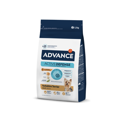 Yorkshire Terrier 1,5 kg