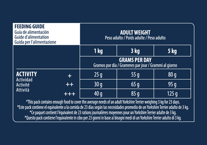 Yorkshire Terrier 1,5 kg