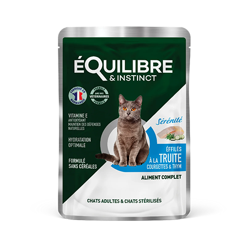 Equilibre Poučeris Ster Truite (Upėtakis) 85g
